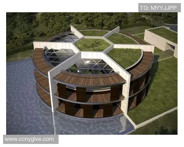 足球巨星豪宅价格揭秘超高奢华居所背后的惊人数字和投资价值